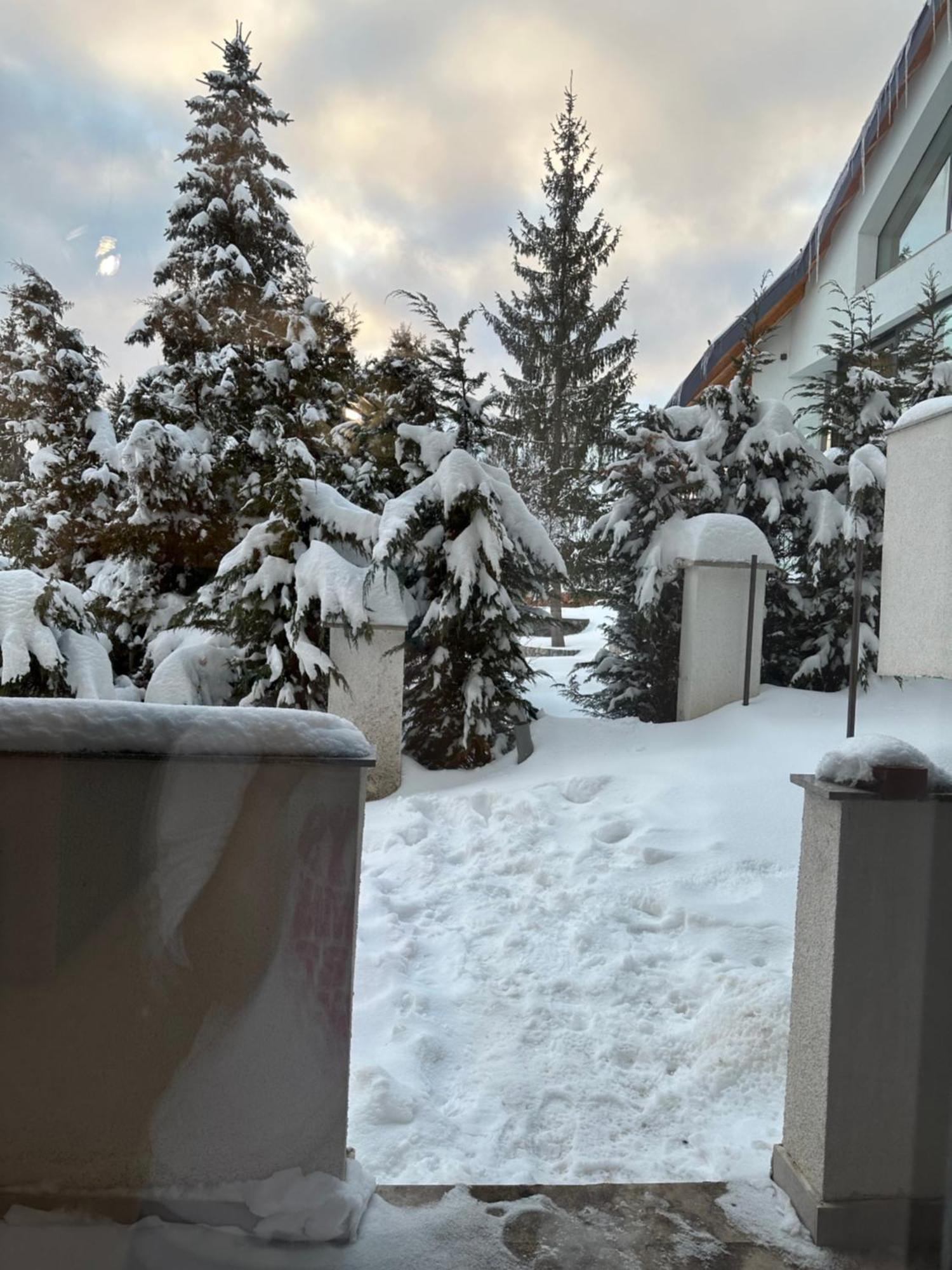 Apartament Bonton Predeal Exteriér fotografie